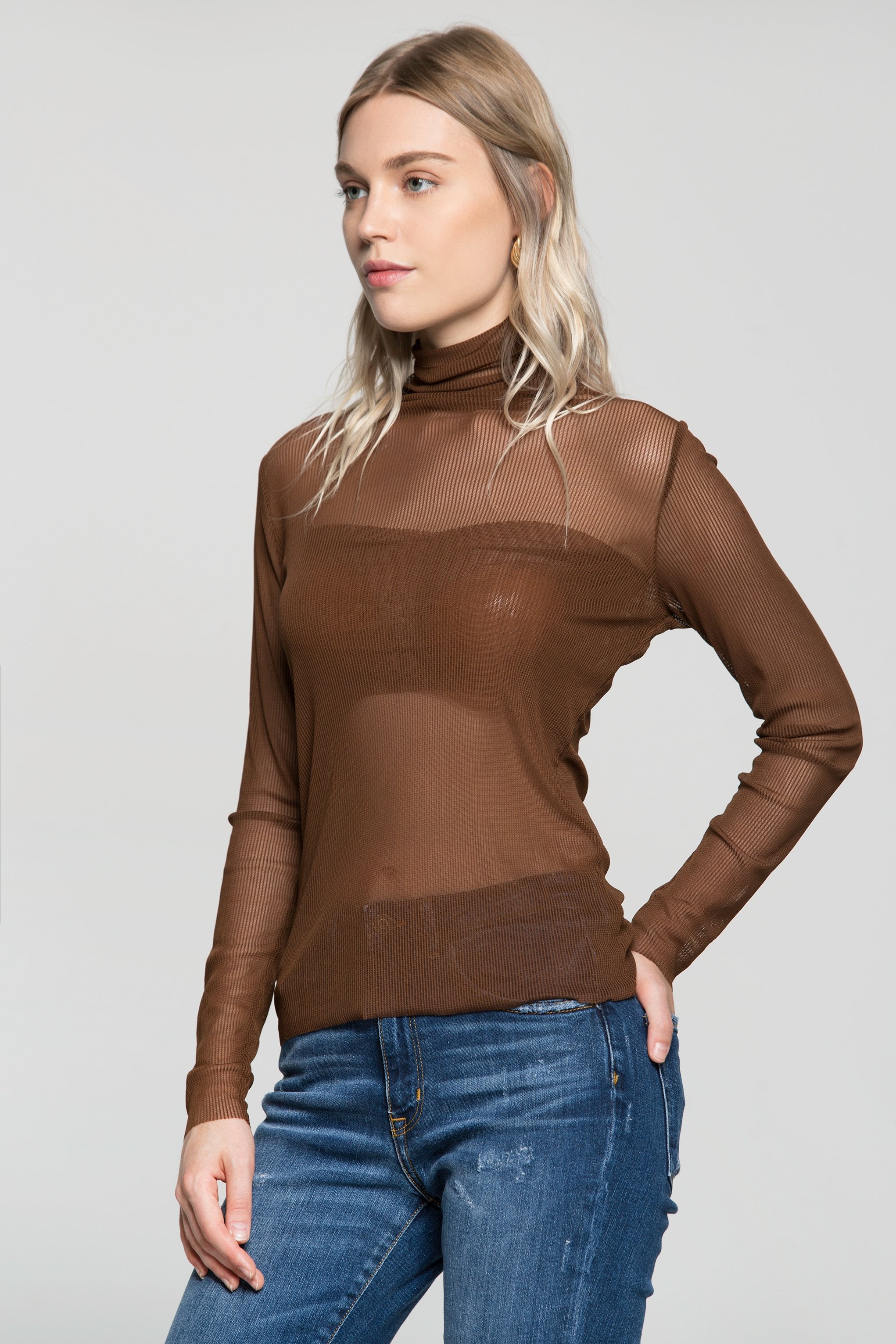Brown Sheer Turtle Neck Ribbed Top - ownthelooks-Development